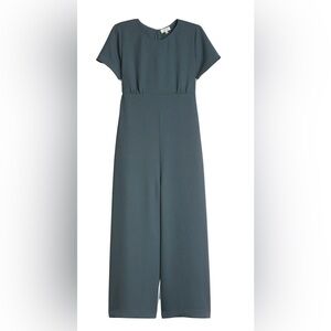Aritzia Wilfred Juin jumpsuit